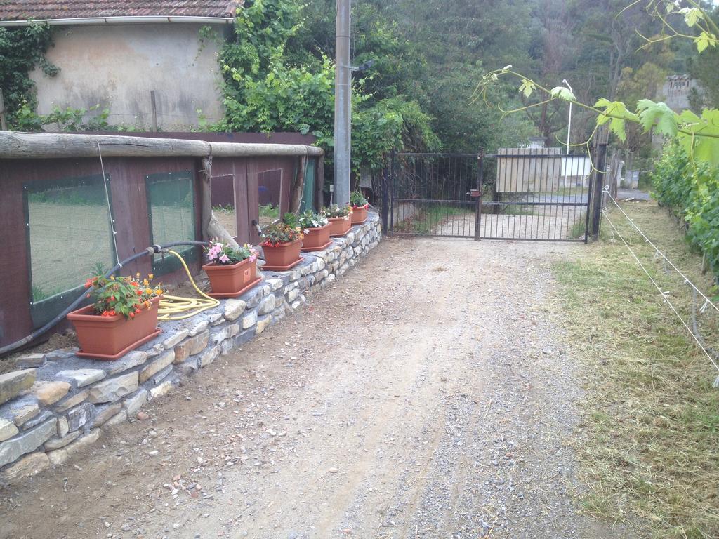ホテルIl Piccolo Ranch チェルヴォ エクステリア 写真
