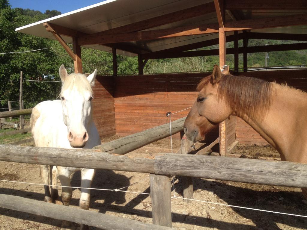 ホテルIl Piccolo Ranch チェルヴォ エクステリア 写真