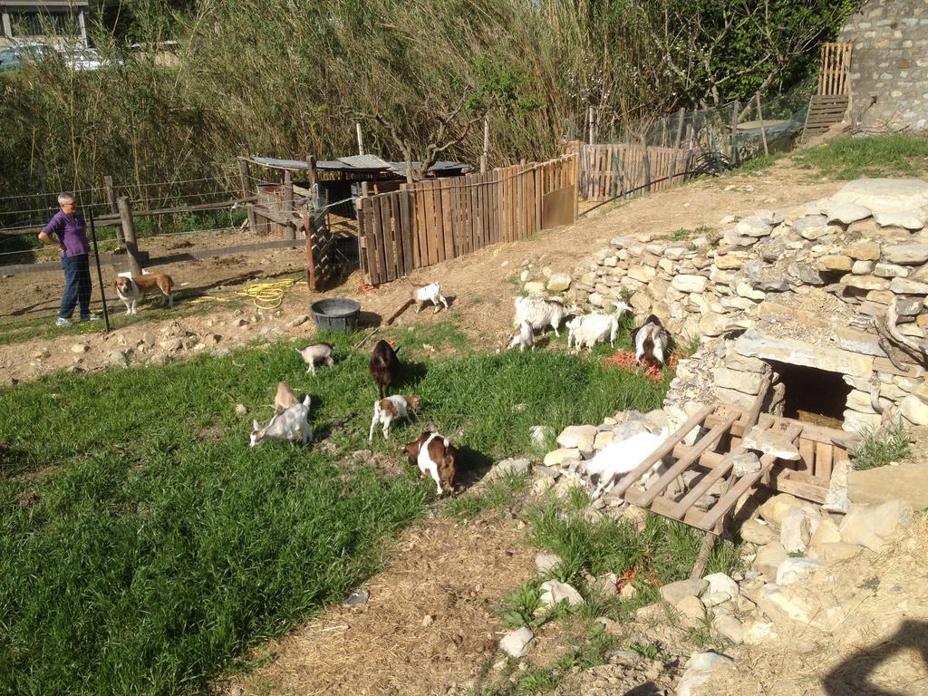 ホテルIl Piccolo Ranch チェルヴォ エクステリア 写真