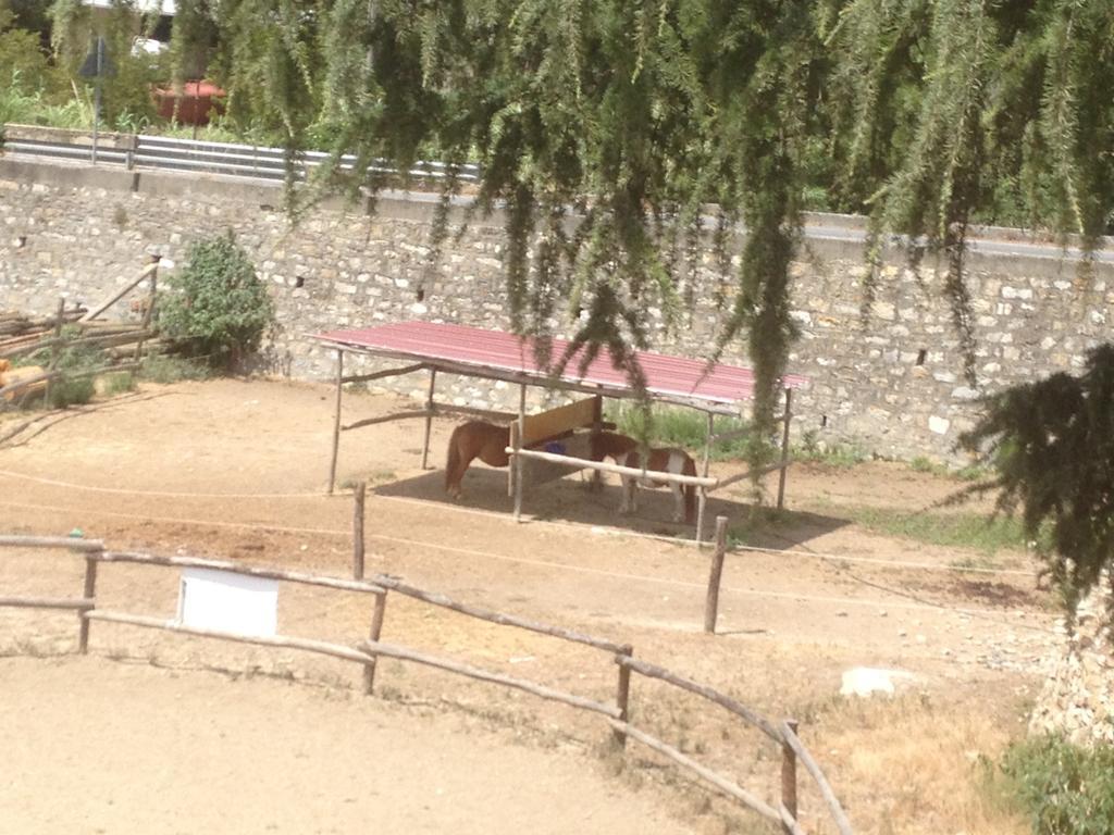 ホテルIl Piccolo Ranch チェルヴォ エクステリア 写真