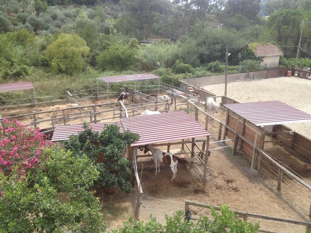ホテルIl Piccolo Ranch チェルヴォ エクステリア 写真